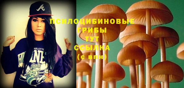 дживик Армянск
