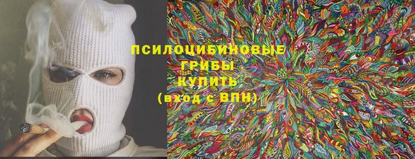 прущая мука Арсеньев