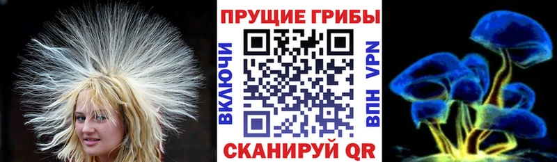 блэк спрут сайт Пущино Псилоцибиновые грибы мицелий